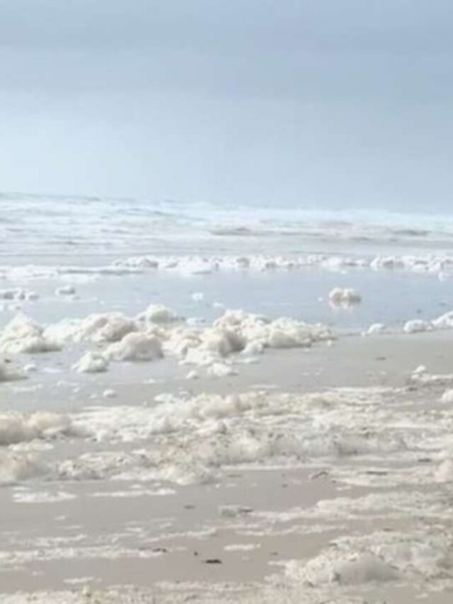 Espuma densa é encontrada em praias de Ilhéus após fortes chuvas na Bahia