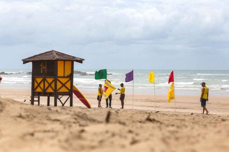 Salvamar emite alerta para risco de caravelas em praias da capital baiana