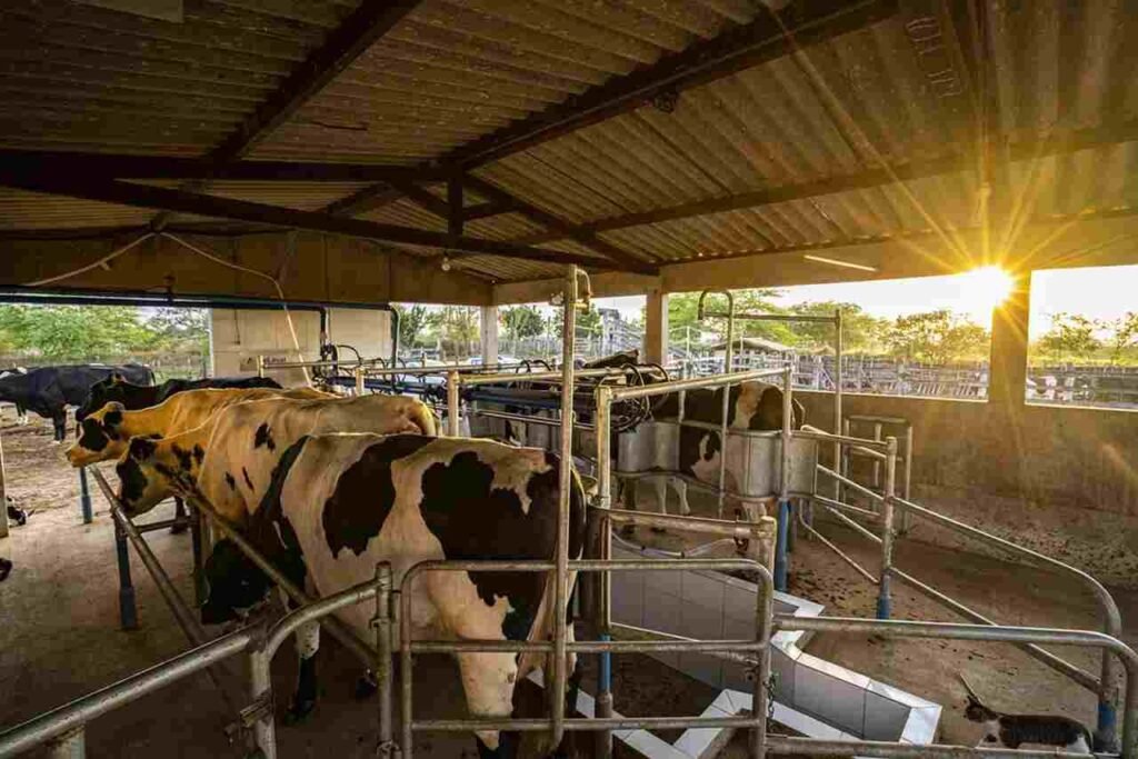 Senar oferece 370 vagas gratuitas para cursos técnicos em agropecuária na Bahia b 15 Easy Resize.com