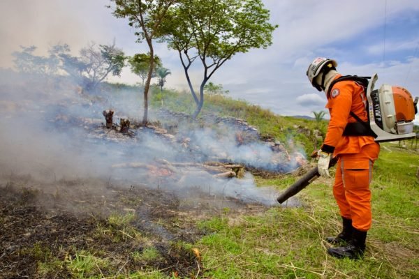 Reda com 46 vagas fortalece a gestão ambiental na Bahia Logo