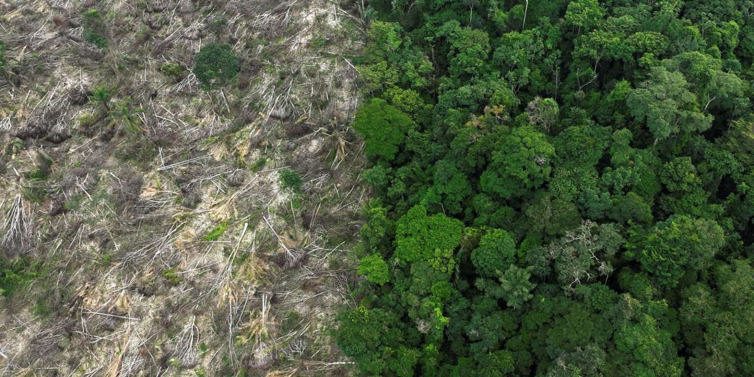 2024 04 18t061539z 305768858 rc22vy97uasu rtrmadp 3 climate change amazon bonds