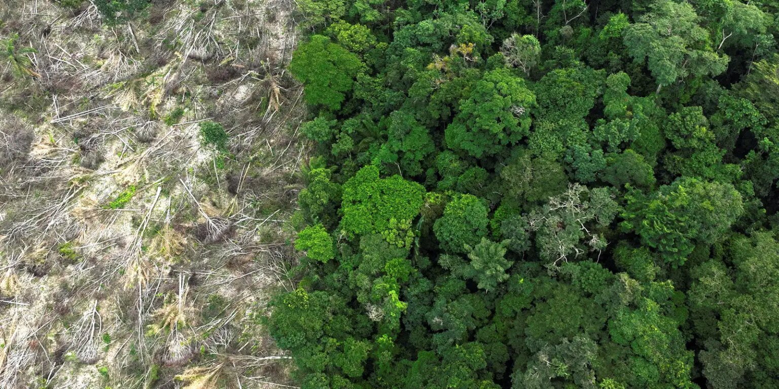 amazonia desmatamento 1