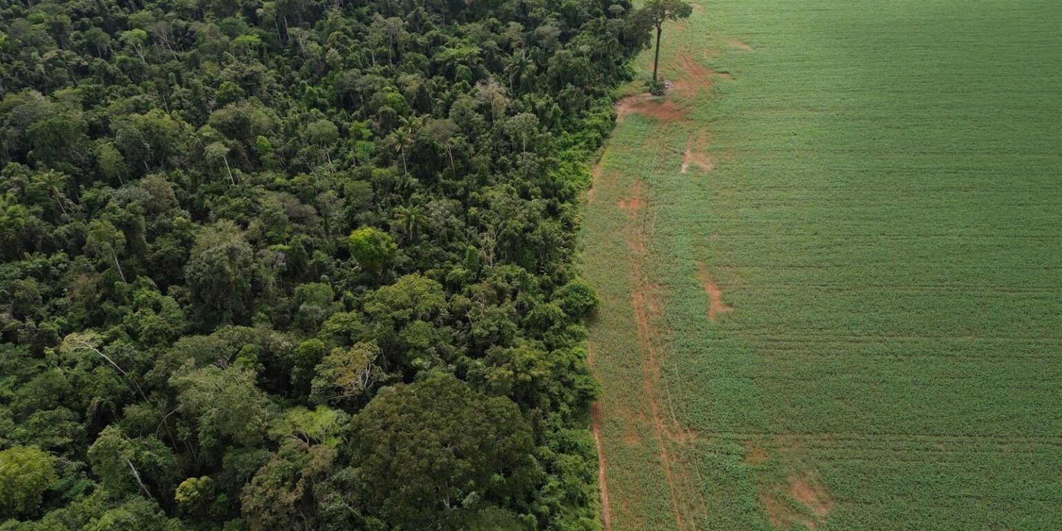 dji 0737