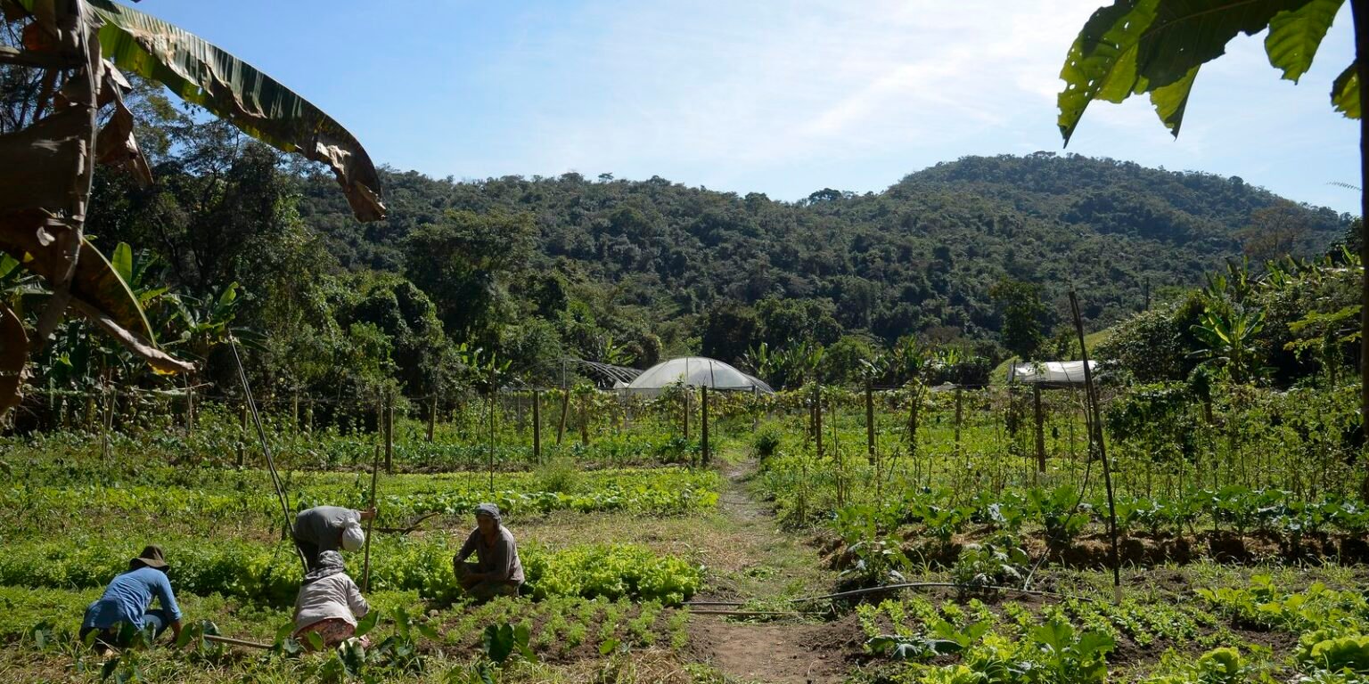 Lula autoriza uso de R$ 12 bilhões para renegociação de dívidas rurais tmazs abr 05071918437