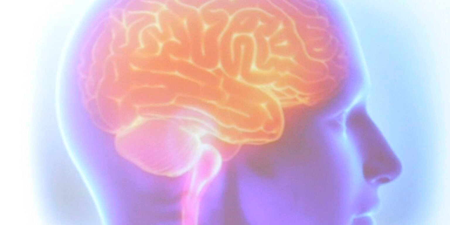 cerebro