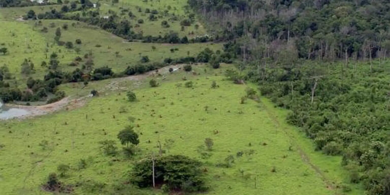 projeto rural na amazonia pnud
