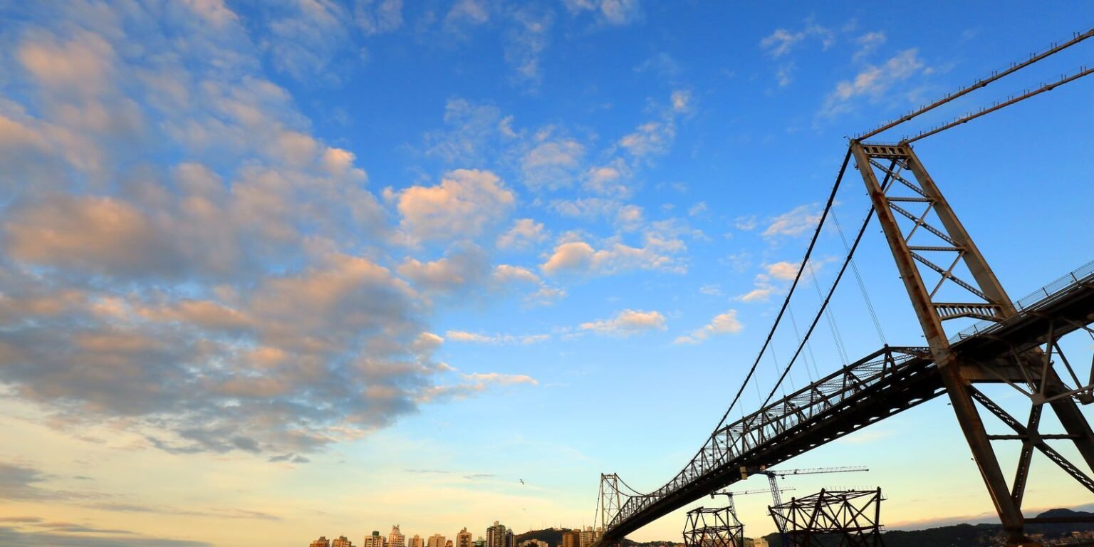 49066803482 572f5c6d64 o