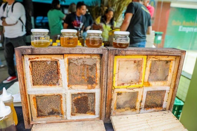 Medida provisória abre crédito orçamentário para apoiar agricultura familiar afetada por tarifaço img20231006091744738