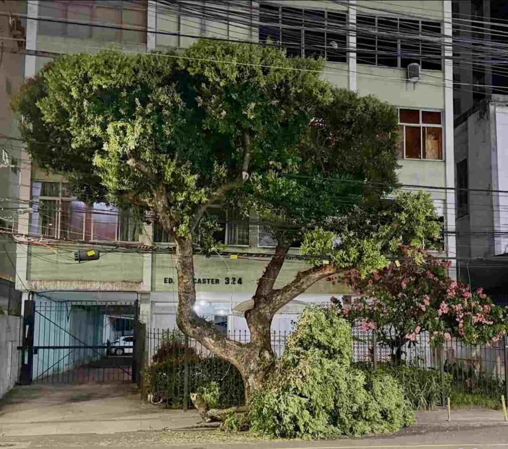 Screenshot 2025 12 04 20 36 06 740 com.instagram.android edit Easy Resize.com