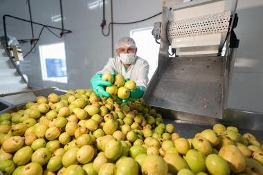 Com investimentos estruturantes, agricultura familiar amplia produção e renda nos municípios baianos WhatsApp20Image202025 12 2220at2011.34.482028129201