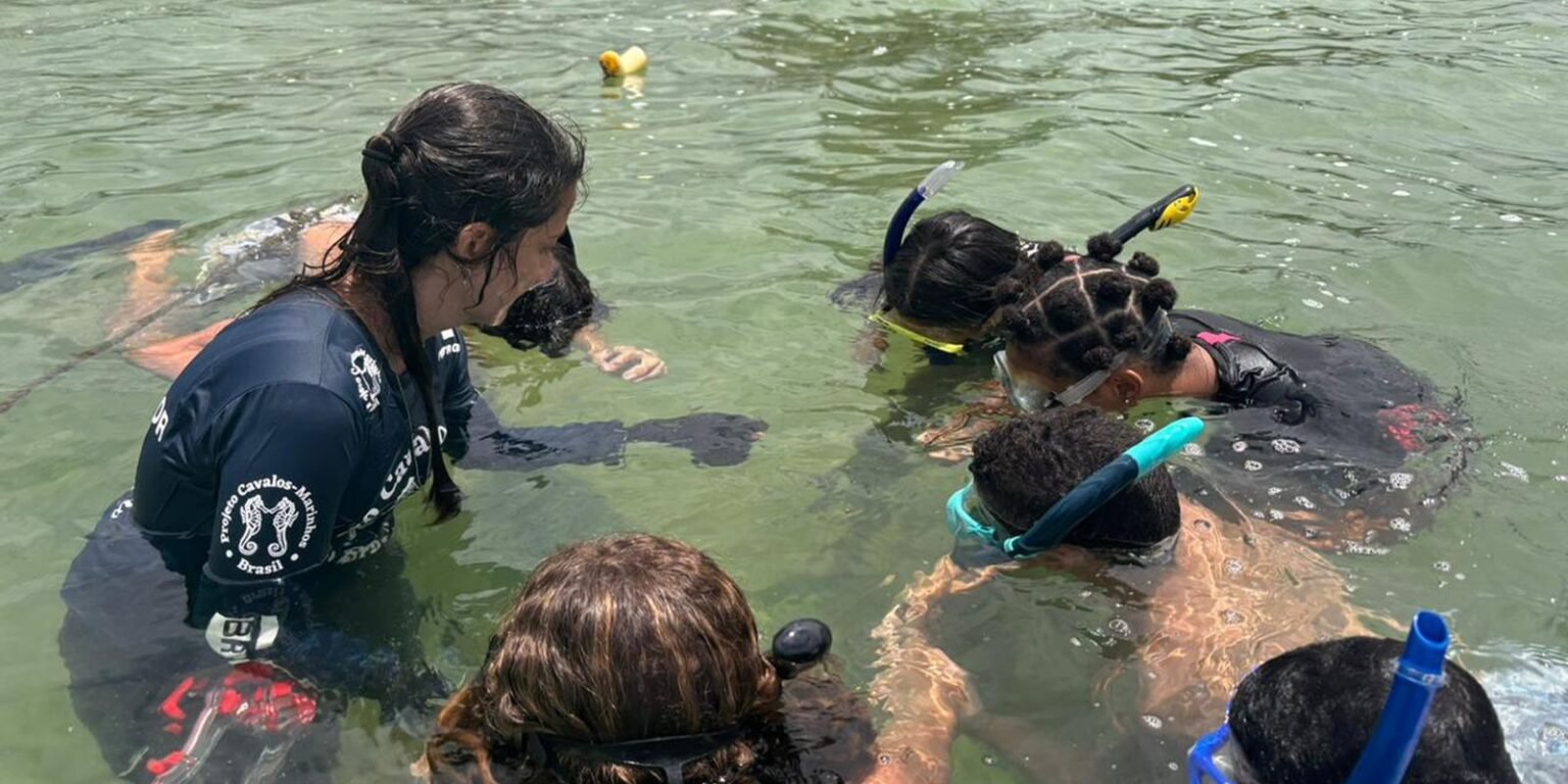 guardioes cavalos marinhos iguaba grande monitoramento acervo projeto cavalos marinhos 8