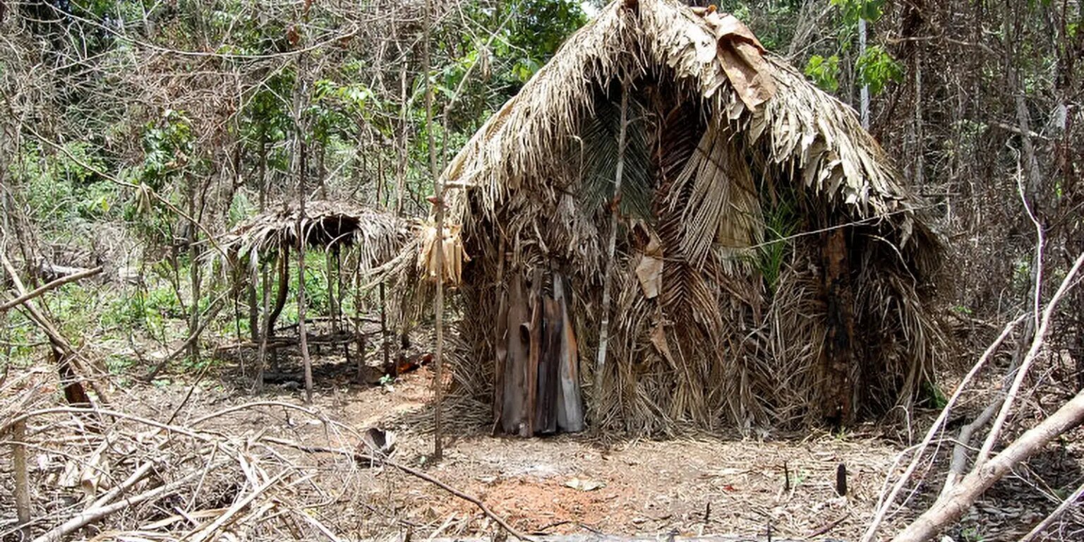 DPU afirma que consulta prévia não se aplica a indígenas isolados tanaru 1 1