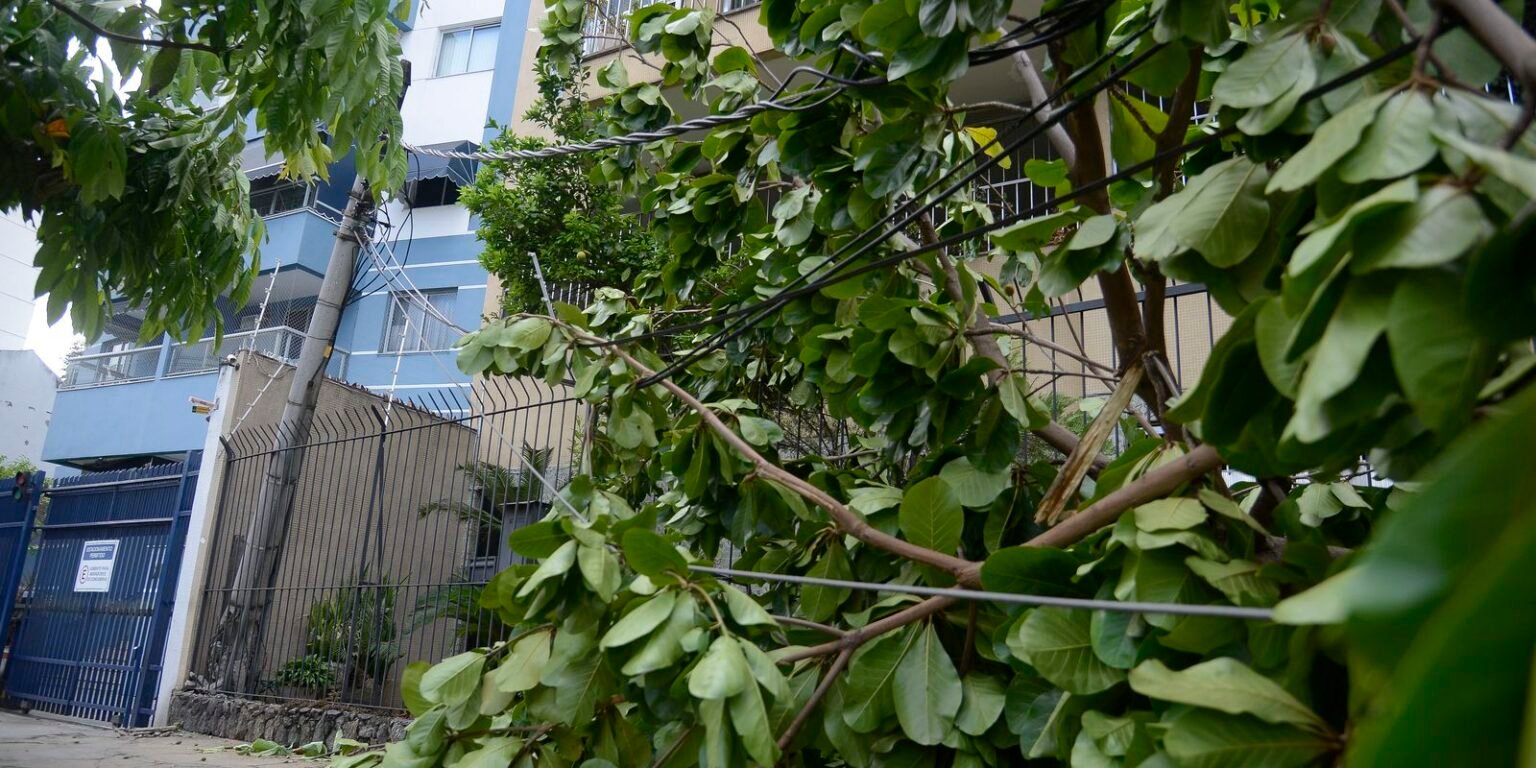 tmazs abr 29041914835df