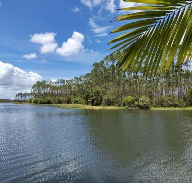 Sema apoia edital do CAMP Viva Água e reforça divulgação de oportunidades para segurança hídrica na Bahia Capa2028129