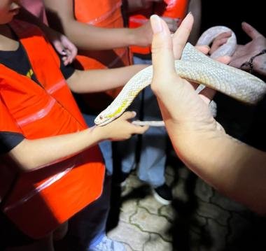 Inscrições para o Zoo noturno serão abertas neste fim de semana WhatsApp20Image202026 01 3020at2017.20.32