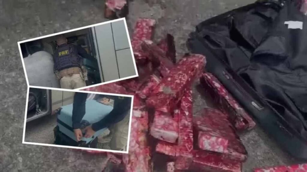 FEIRA DE SANTANA Onibus e interceptado e PRF encontra mais de 22 kg de maconha em mala na BR 324 696x391 1 Easy Resize.com