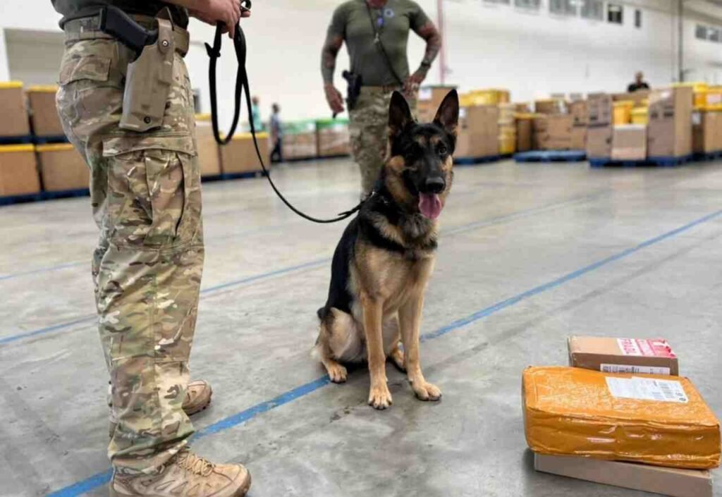 Homem e preso com drogas e municoes ao retirar encomenda nos Correios em Itabuna Easy Resize.com