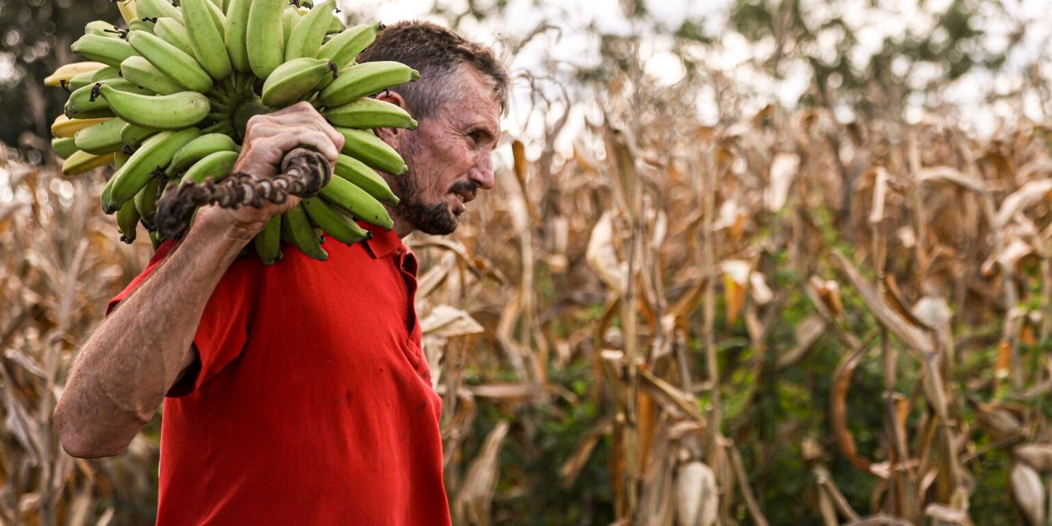 Câmara aprova uso de recursos do FGO em operações do Pronaf caminho das aguas mauriti mc abr 26052025 11