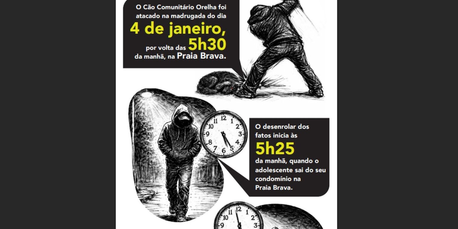 infografico caso cachorro orelha