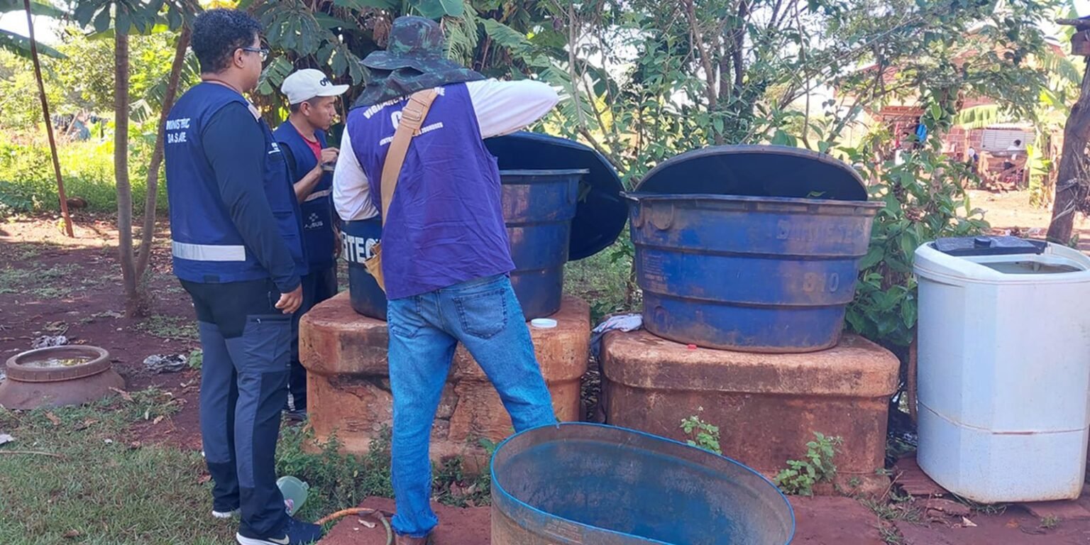 Chikungunya: ministro classifica como crítica situação em Dourados arbo 5