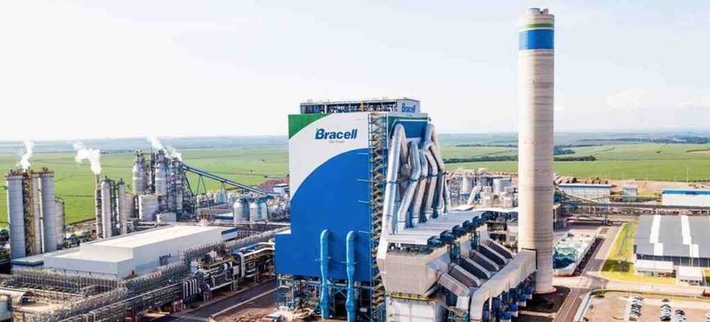 Bracell abre inscrições para programa de estágio com bolsa de até R$ 2.200 na Bahia bracell lpt Easy Resize.com