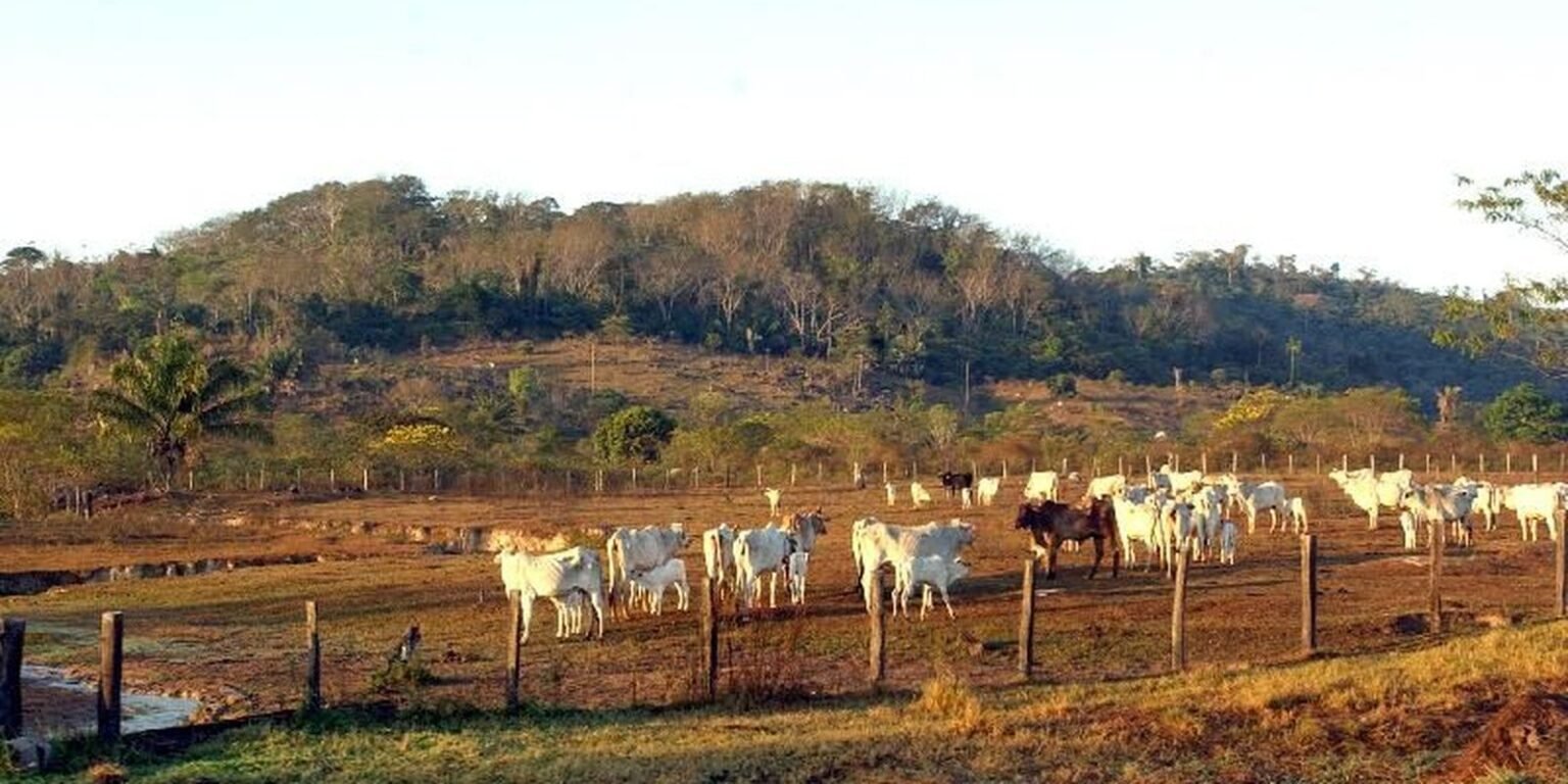 fazenda