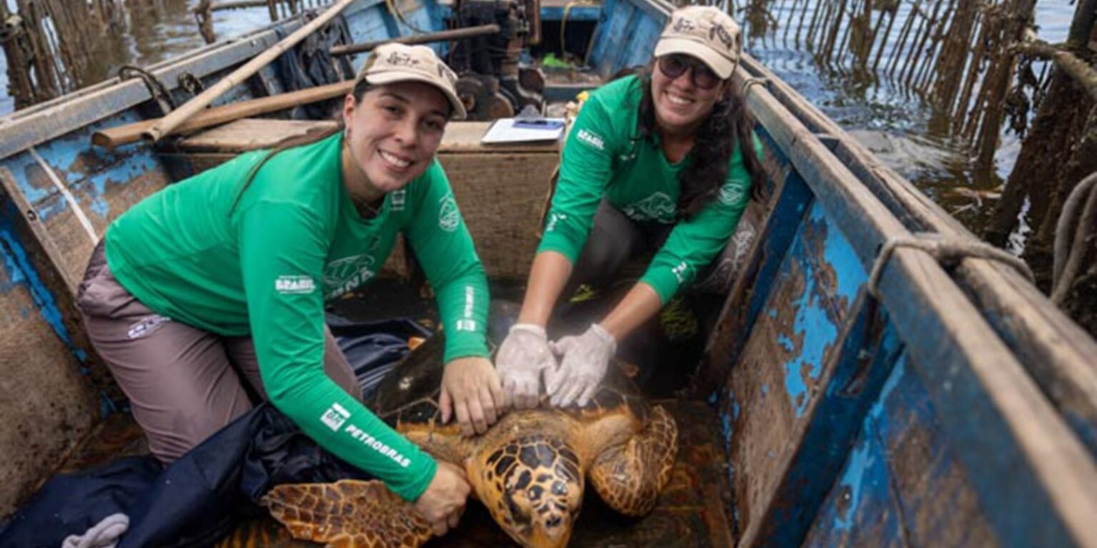 mg 4017 credito stefankolumban