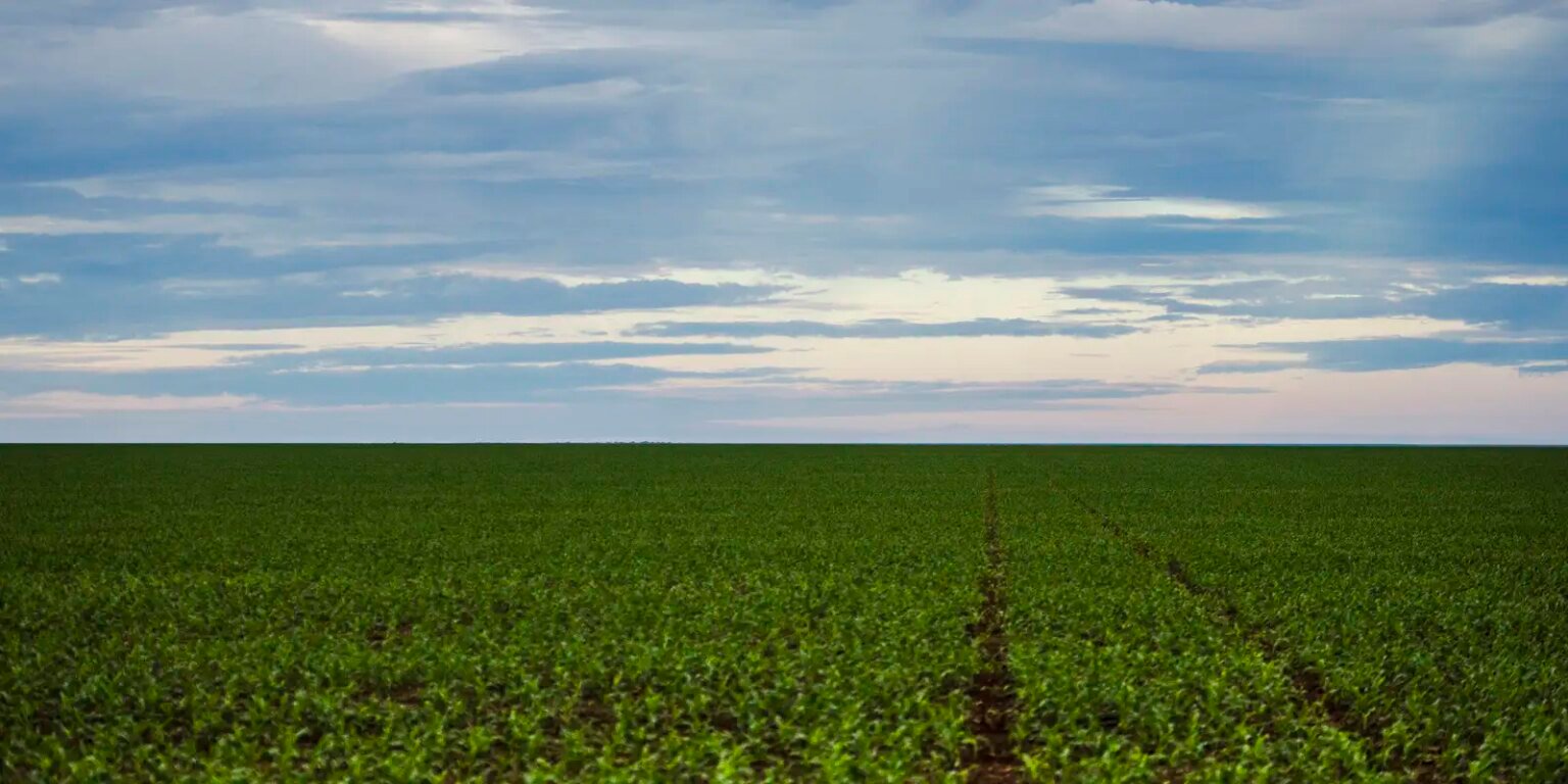 Fazenda estuda Fundo Garantidor para dívidas rurais 1020871 mt 23032016dsc 9285
