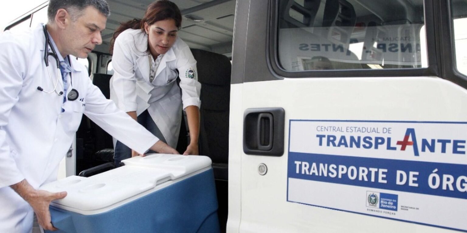 22409transplante 2 1