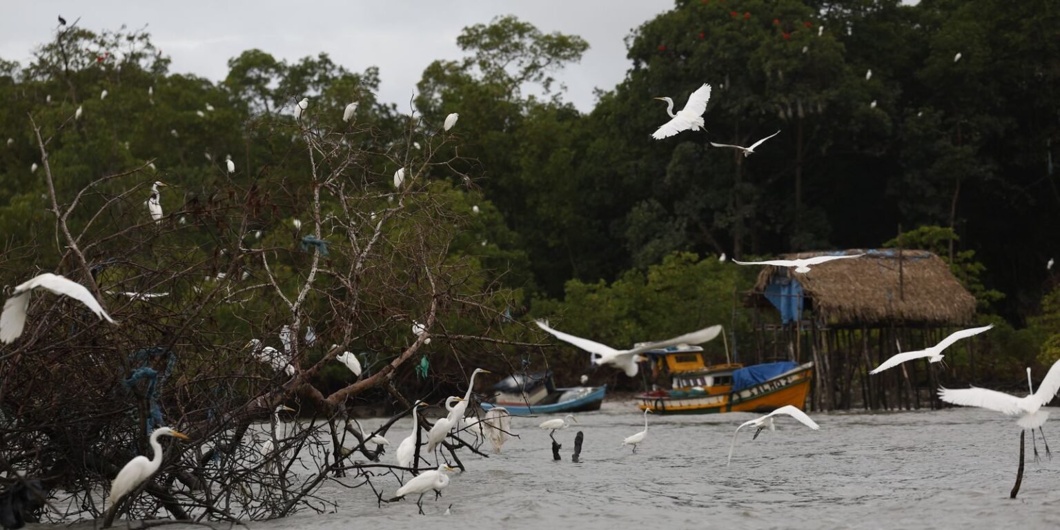 Amazônia Soberana: programa vai combater crimes em áreas de fronteira d6a7533