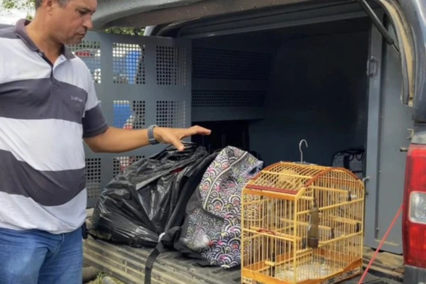 Influenciador digital é preso com drogas que seriam vendidas no São João de Cruz das Almas suspeito foi preso com drogas 3302526 article