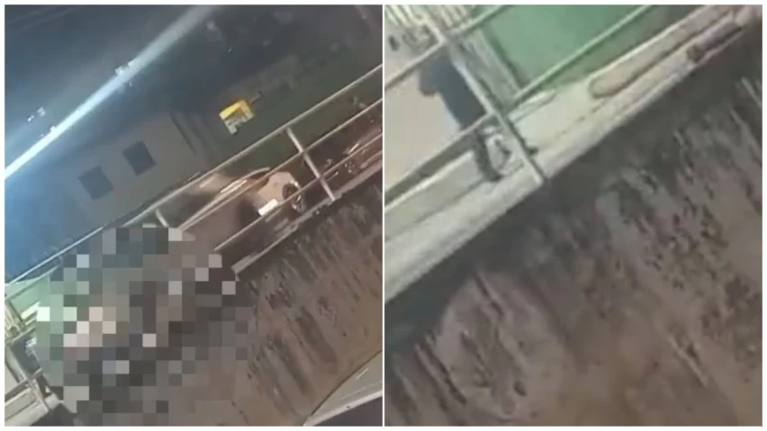 Crime em Narandiba: homem é executado a tiros em via pública de Salvador WhatsApp Image 2026 07 14 at 08.50.21