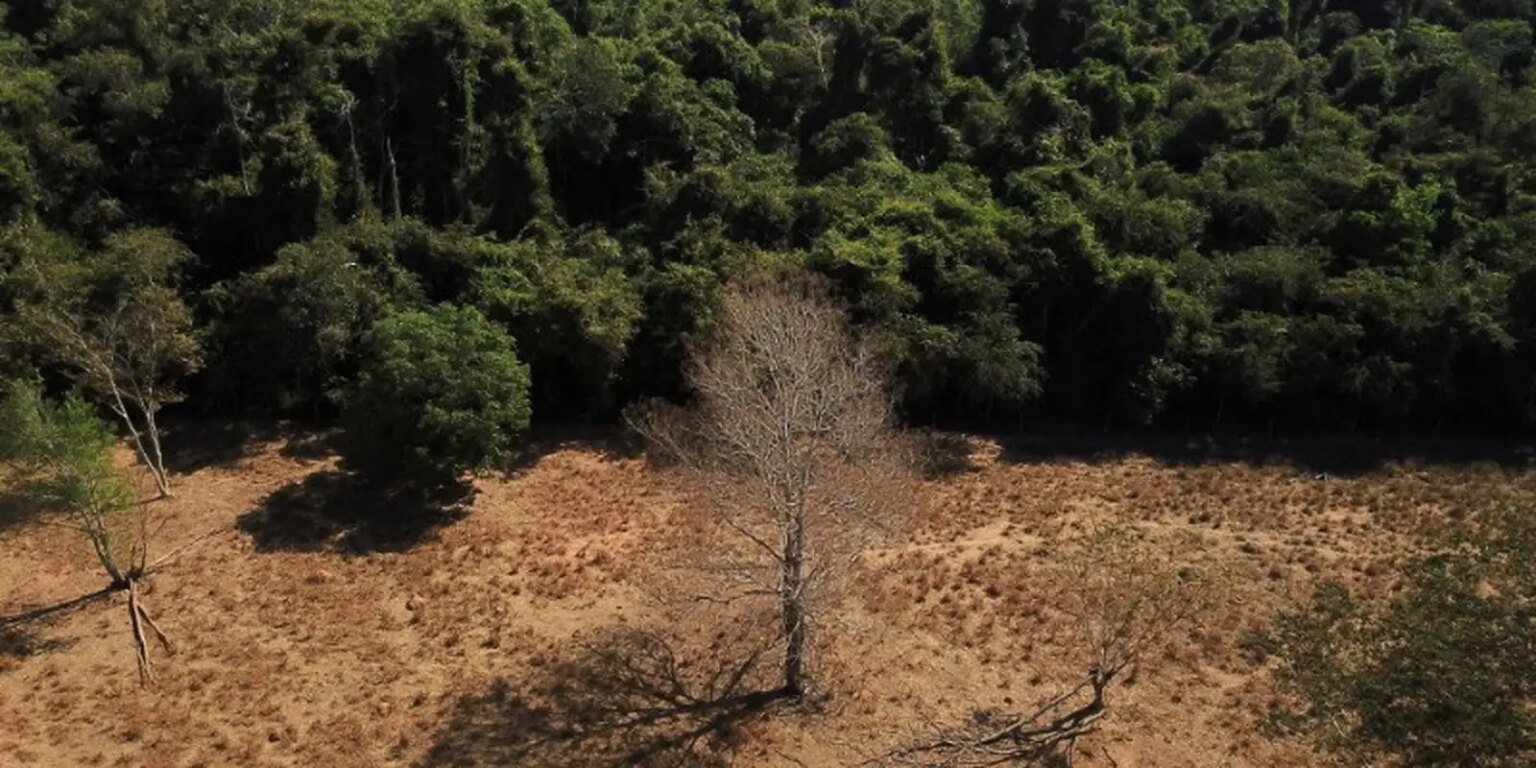 Depois da COP17, Brasil é cobrado a efetivar metas de restauração 2023 01 04t011928z 1 lynxmpej0300u rtroptp 3 brazil environment