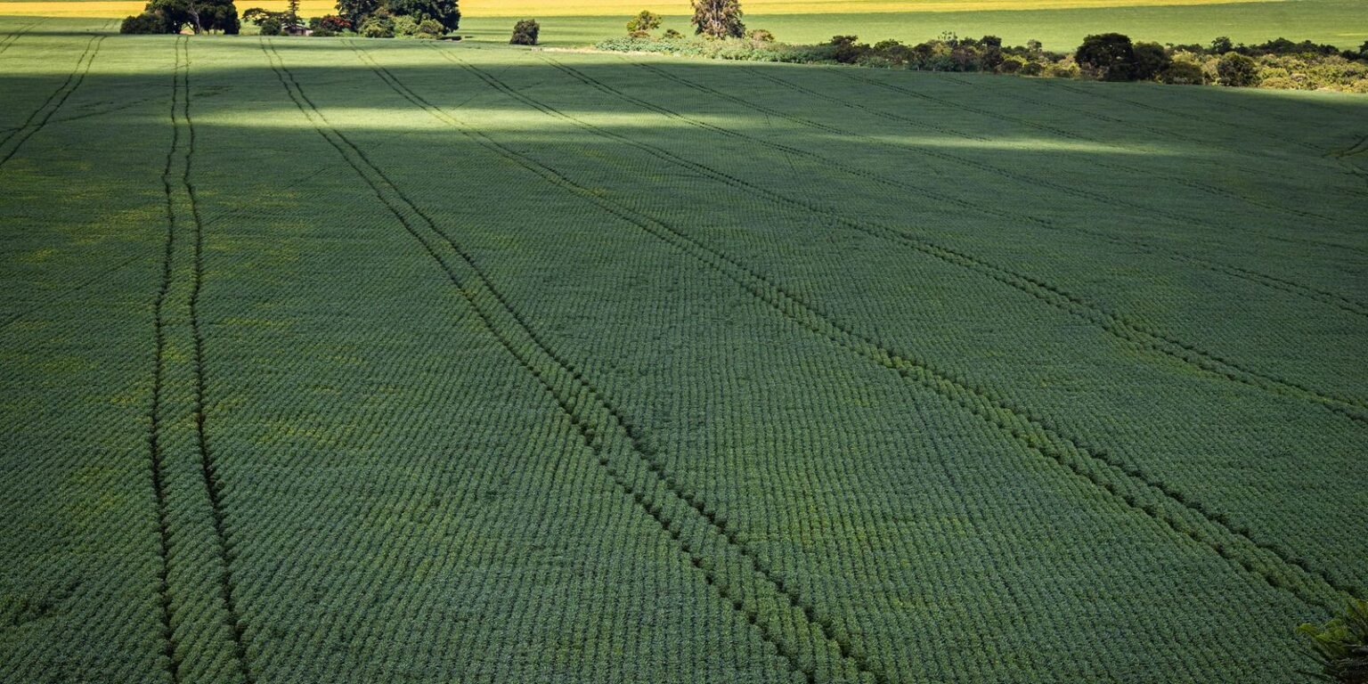 Senado aprova plano para fabricação de fertilizantes no Brasil 50927545386 dc142e1f64 k