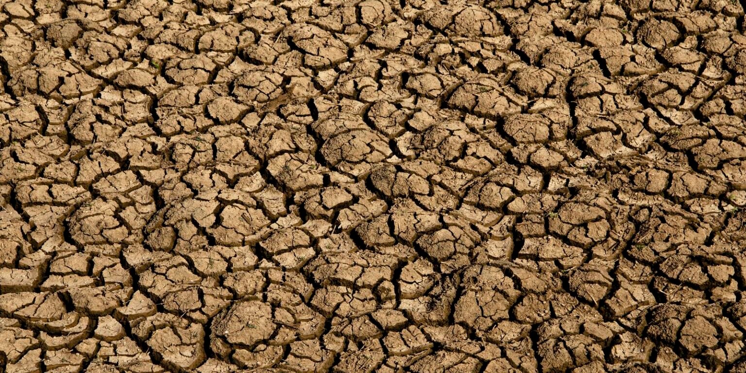 Risco de desertificação no Brasil ameaça segurança hídrica e alimentar 51193218629 537e724ba4 k