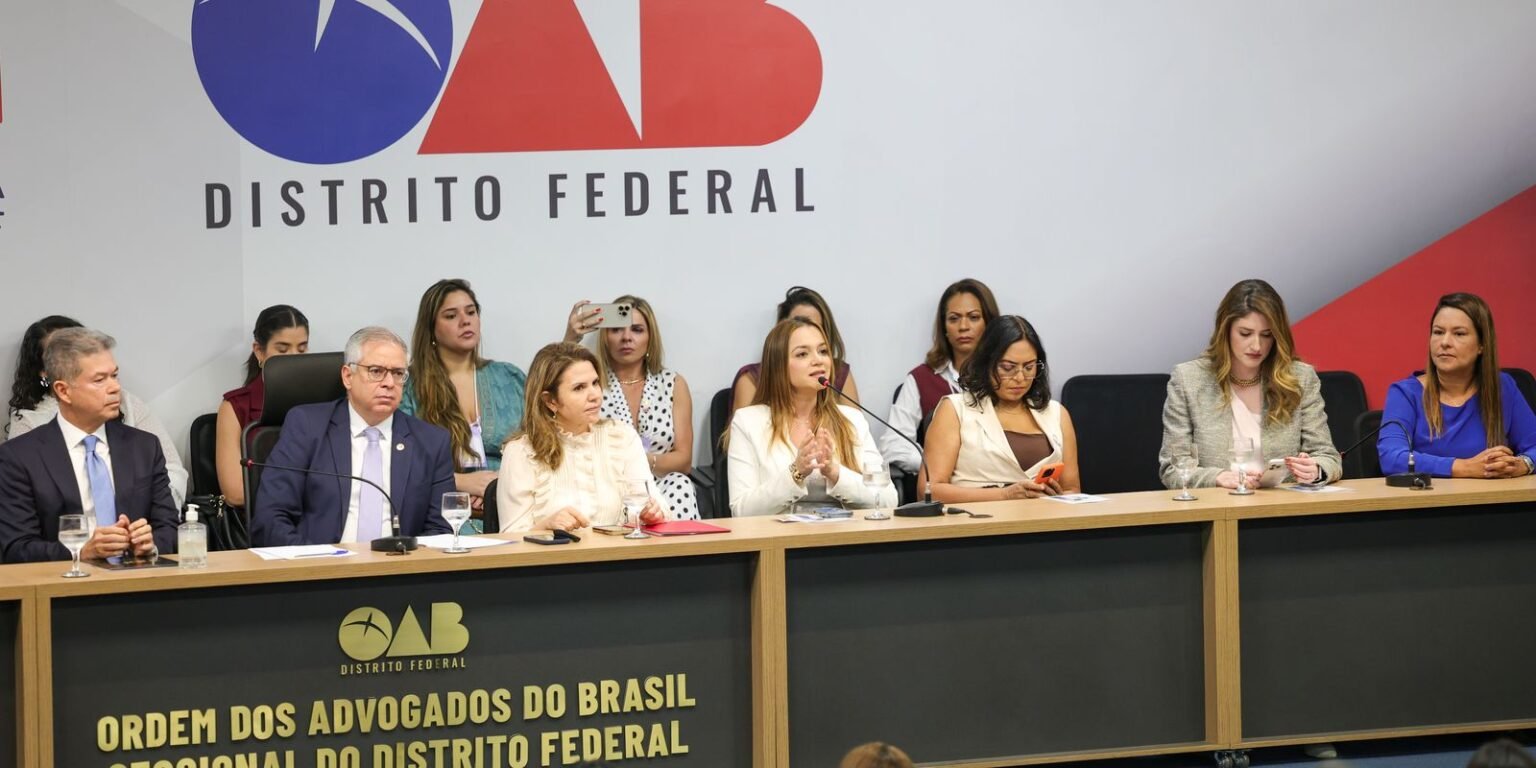 OAB/DF lança “violentômetro” sobre estágios da agressão a mulheres pzzb4653