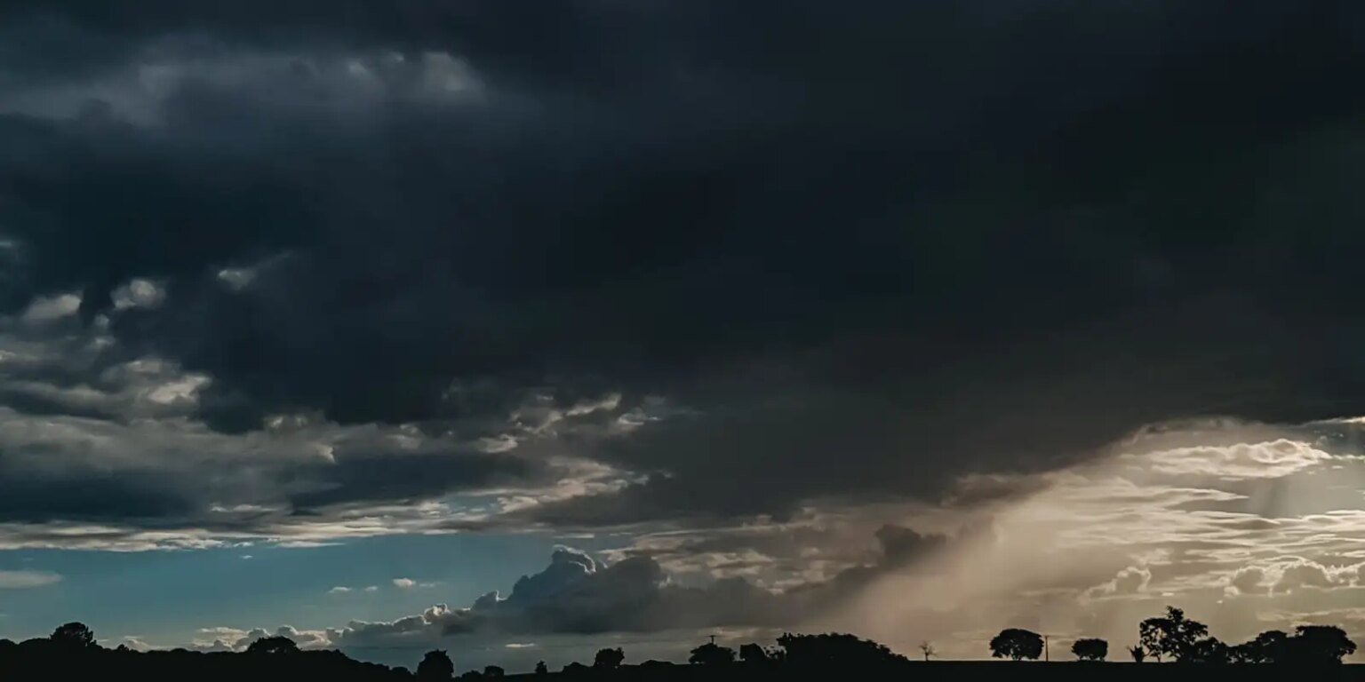 v0030538