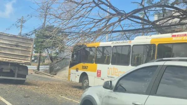 Árvore caí sobre ônibus e complica trânsito na Avenida Paralela acidente na paralela