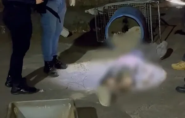 Corpo de mulher encontrado dentro de tonel com cimento no Comércio é identificado corpo de mulher tonel