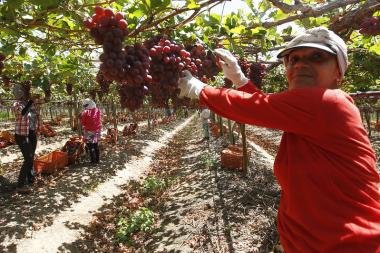 Agricultura baiana alcança R$ 56,2 bilhões em 2025 ElC3B3i20CorrC3AAa20GOVBA