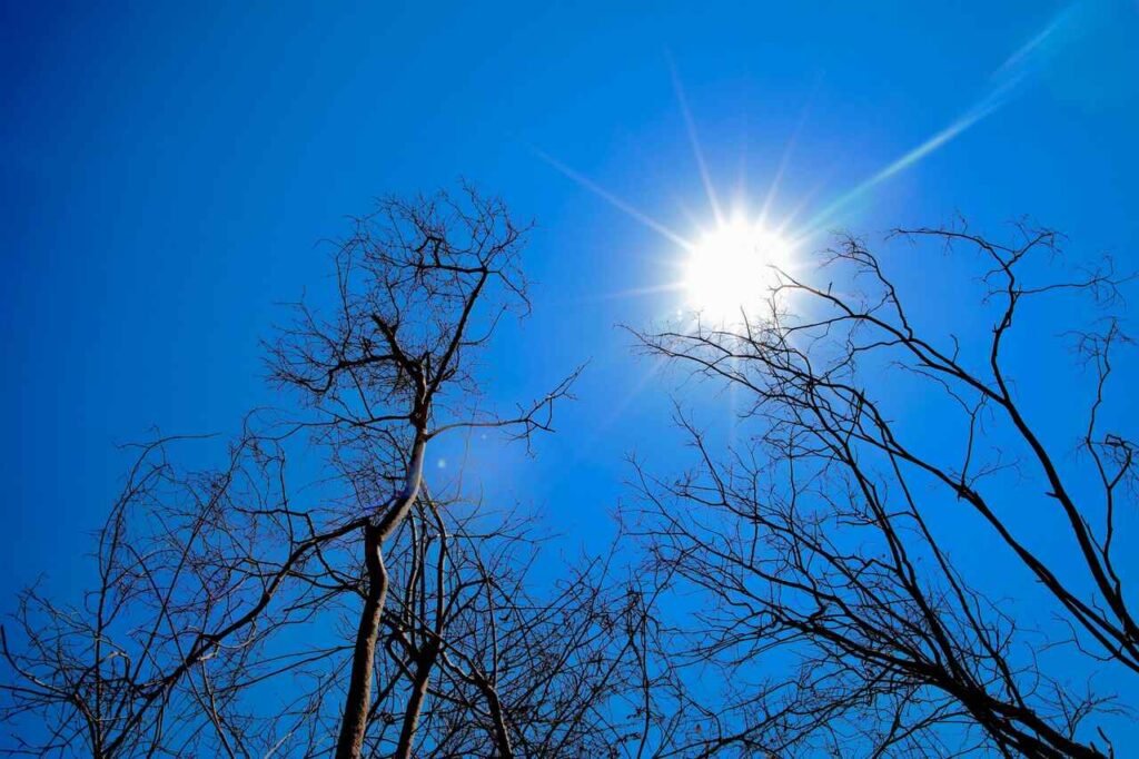 Bahia pode registrar temperaturas acima de 41°C e umidade em níveis críticos nos próximos dias Foto divulgacao Inema Easy Resize.com