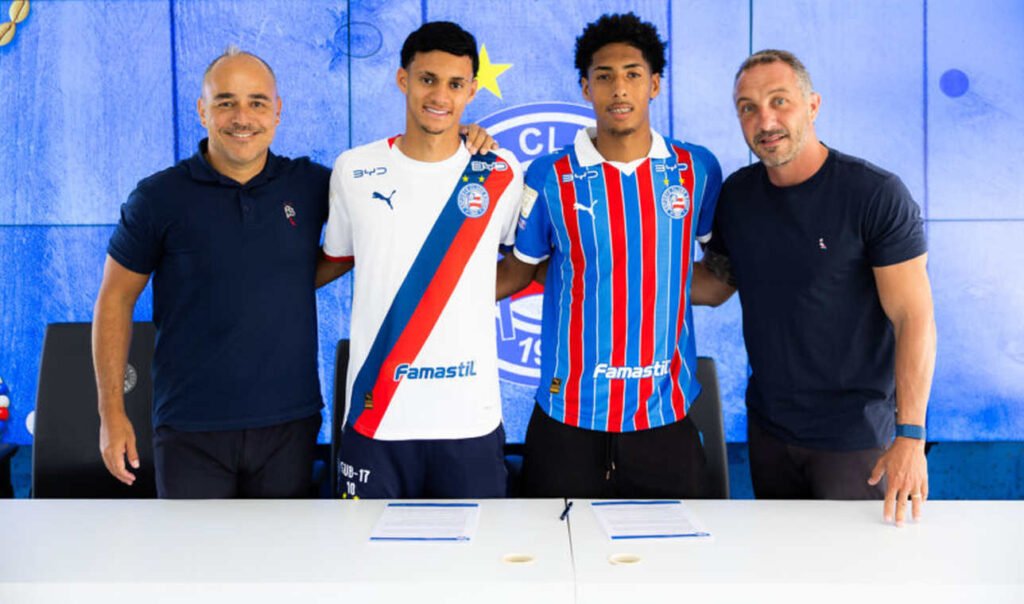 bahia contratos profissionais
