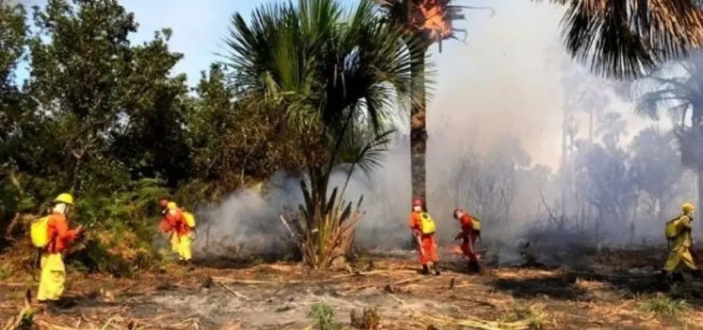 incendio
