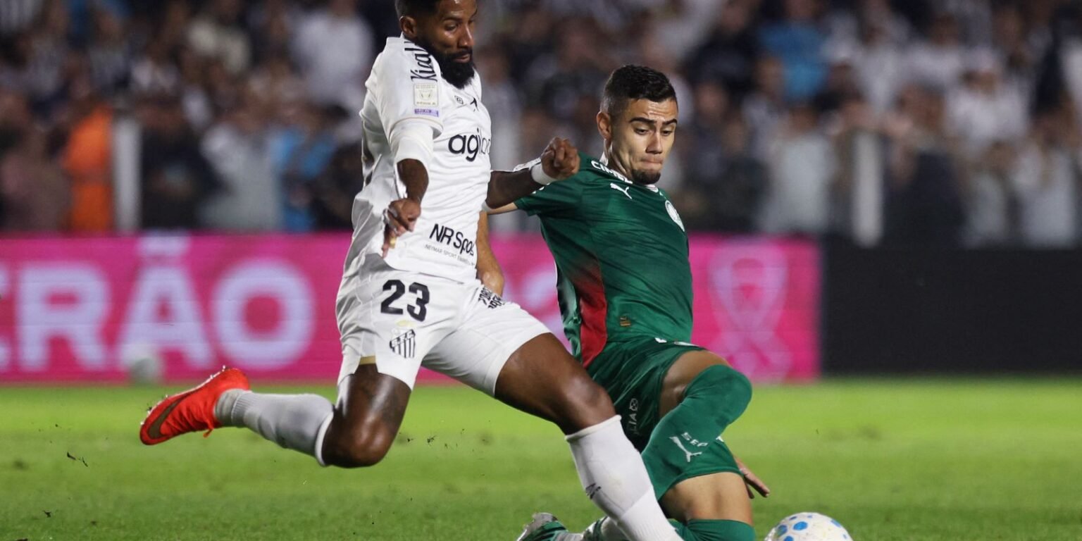 Brasileirão: Palmeiras fica no zero com o Santos e Flamengo agradece palmeiras brasileirao