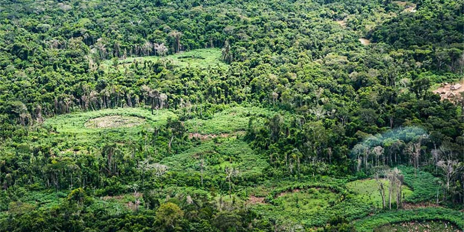 terra indigena ti panara na amazonia01